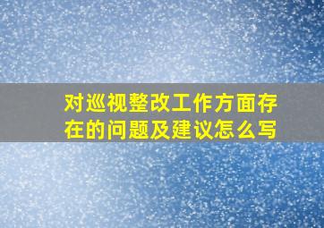 对巡视整改工作方面存在的问题及建议怎么写