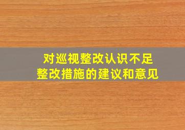 对巡视整改认识不足整改措施的建议和意见