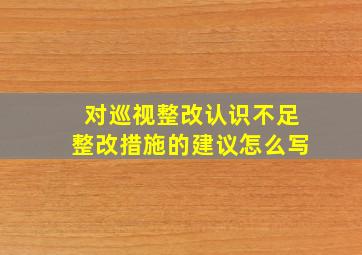 对巡视整改认识不足整改措施的建议怎么写