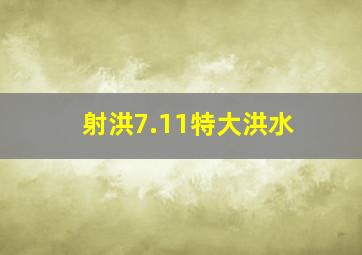 射洪7.11特大洪水