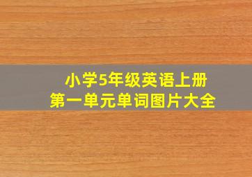 小学5年级英语上册第一单元单词图片大全