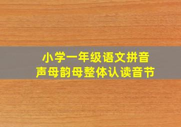 小学一年级语文拼音声母韵母整体认读音节