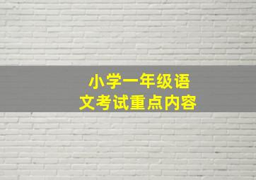 小学一年级语文考试重点内容