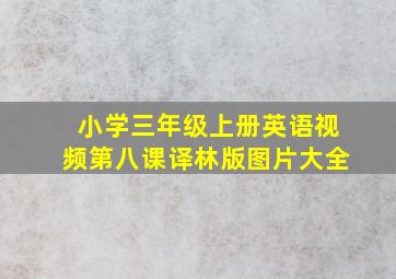 小学三年级上册英语视频第八课译林版图片大全