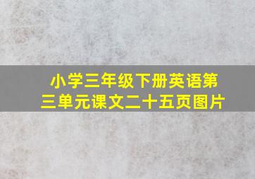 小学三年级下册英语第三单元课文二十五页图片