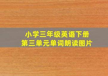 小学三年级英语下册第三单元单词朗读图片