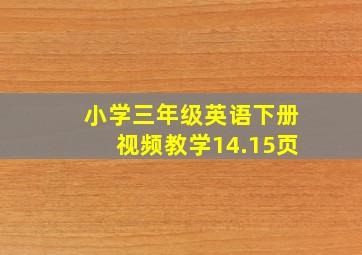 小学三年级英语下册视频教学14.15页