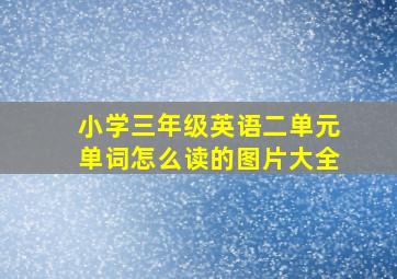 小学三年级英语二单元单词怎么读的图片大全