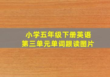 小学五年级下册英语第三单元单词跟读图片