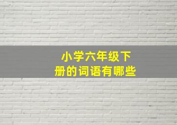 小学六年级下册的词语有哪些