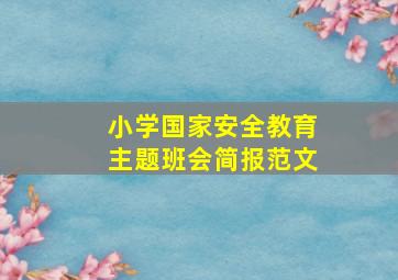 小学国家安全教育主题班会简报范文