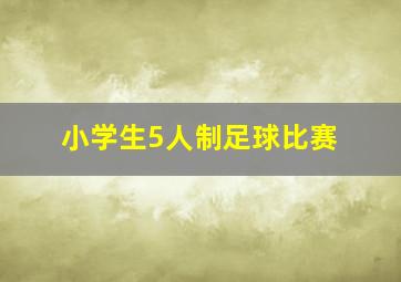 小学生5人制足球比赛