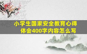 小学生国家安全教育心得体会400字内容怎么写