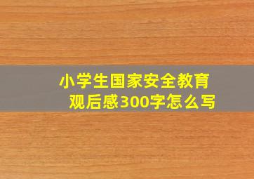 小学生国家安全教育观后感300字怎么写