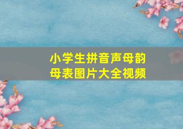 小学生拼音声母韵母表图片大全视频