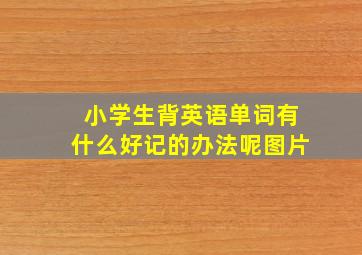 小学生背英语单词有什么好记的办法呢图片