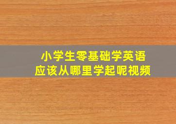 小学生零基础学英语应该从哪里学起呢视频