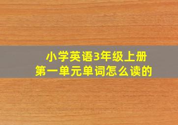 小学英语3年级上册第一单元单词怎么读的