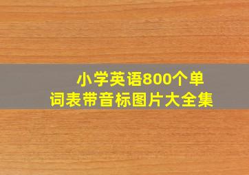 小学英语800个单词表带音标图片大全集