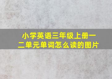 小学英语三年级上册一二单元单词怎么读的图片