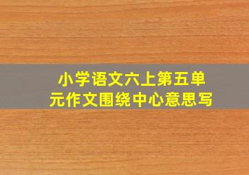 小学语文六上第五单元作文围绕中心意思写