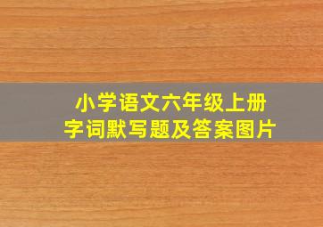 小学语文六年级上册字词默写题及答案图片