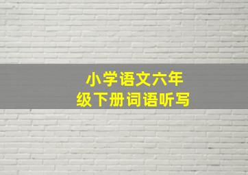 小学语文六年级下册词语听写