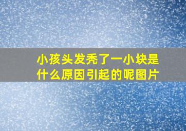 小孩头发秃了一小块是什么原因引起的呢图片