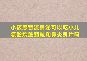 小孩感冒流鼻涕可以吃小儿氨酚烷胺颗粒和鼻炎灵片吗