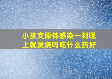 小孩支原体感染一到晚上就发烧吗吃什么药好