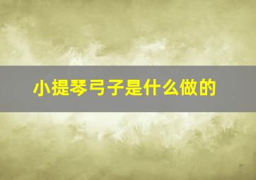 小提琴弓子是什么做的