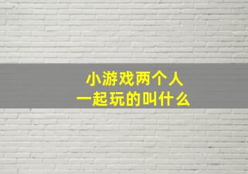 小游戏两个人一起玩的叫什么