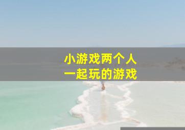 小游戏两个人一起玩的游戏