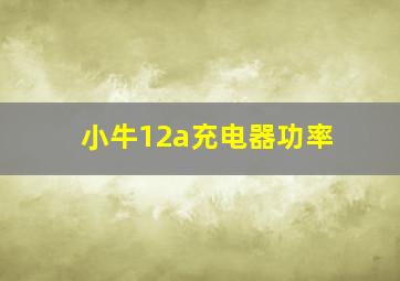 小牛12a充电器功率