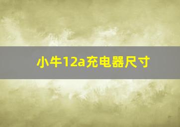 小牛12a充电器尺寸