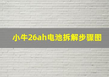 小牛26ah电池拆解步骤图