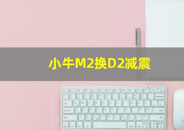 小牛M2换D2减震