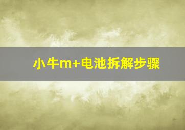 小牛m+电池拆解步骤