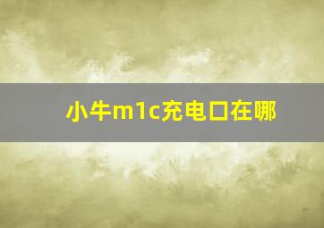 小牛m1c充电口在哪