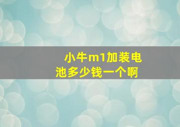 小牛m1加装电池多少钱一个啊