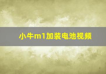 小牛m1加装电池视频