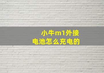 小牛m1外接电池怎么充电的