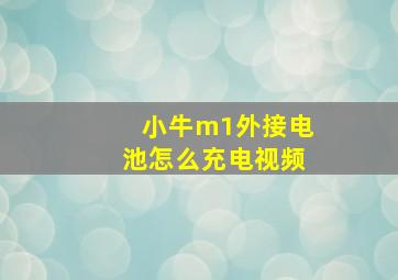 小牛m1外接电池怎么充电视频