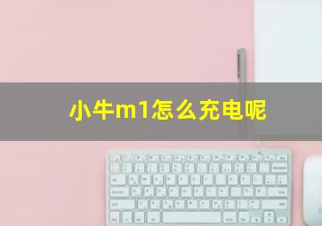 小牛m1怎么充电呢