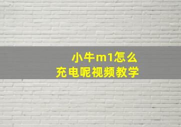 小牛m1怎么充电呢视频教学