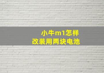 小牛m1怎样改装用两块电池