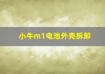 小牛m1电池外壳拆卸