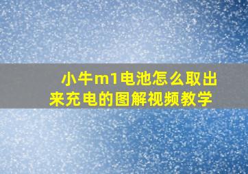 小牛m1电池怎么取出来充电的图解视频教学