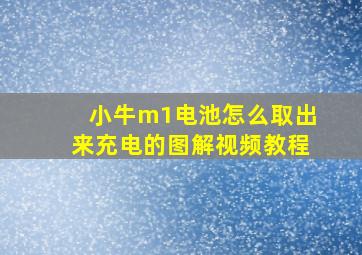 小牛m1电池怎么取出来充电的图解视频教程