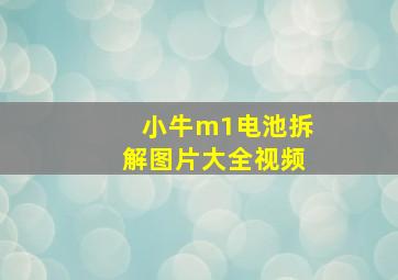 小牛m1电池拆解图片大全视频